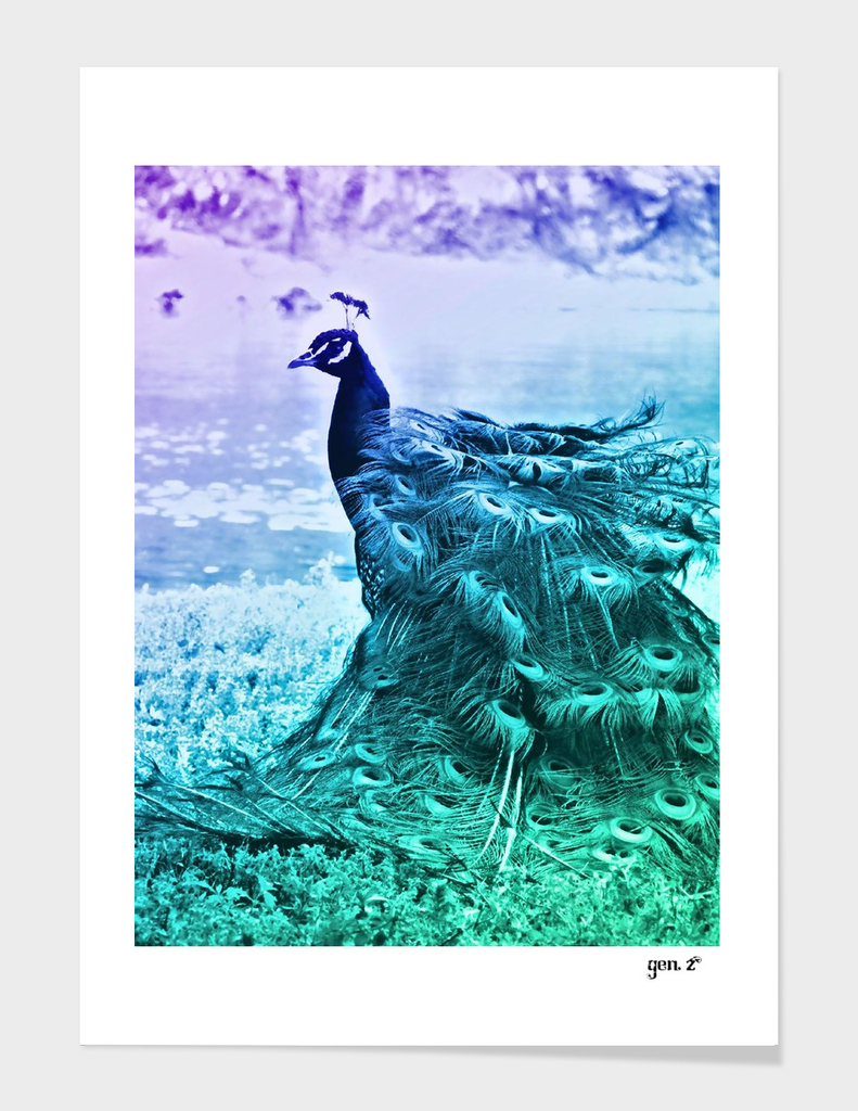 Blue Peacock by GEN Z