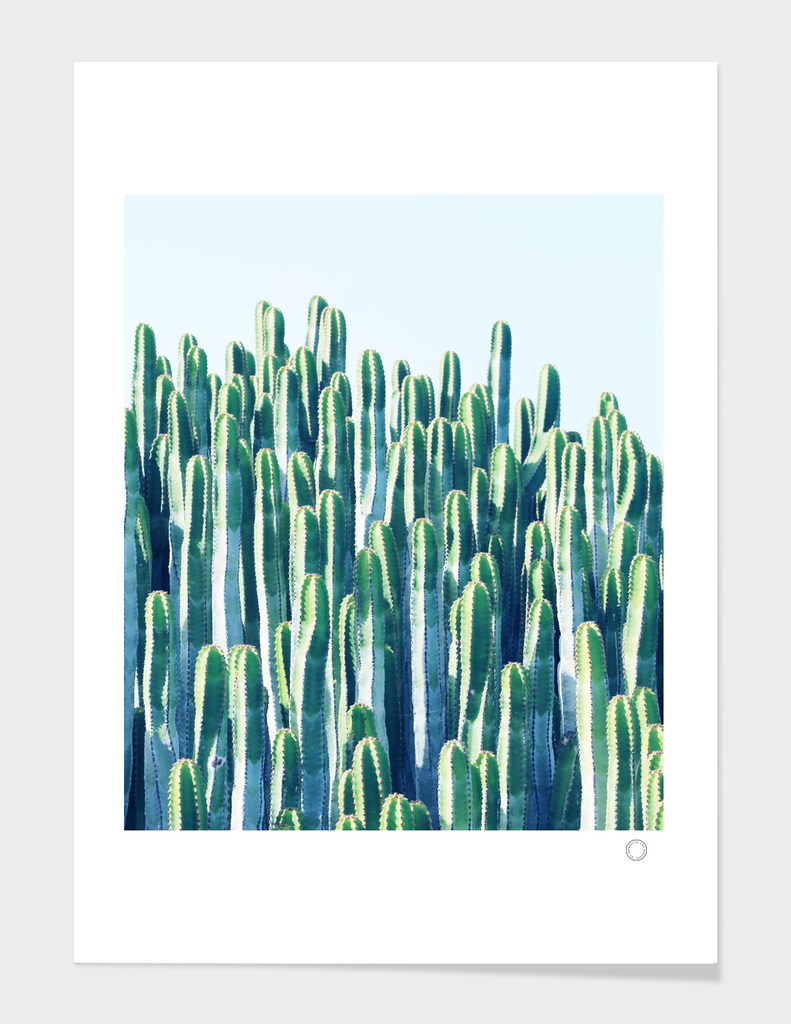 Cactus V2