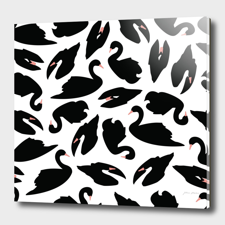 Black Swan Pattern on White 031