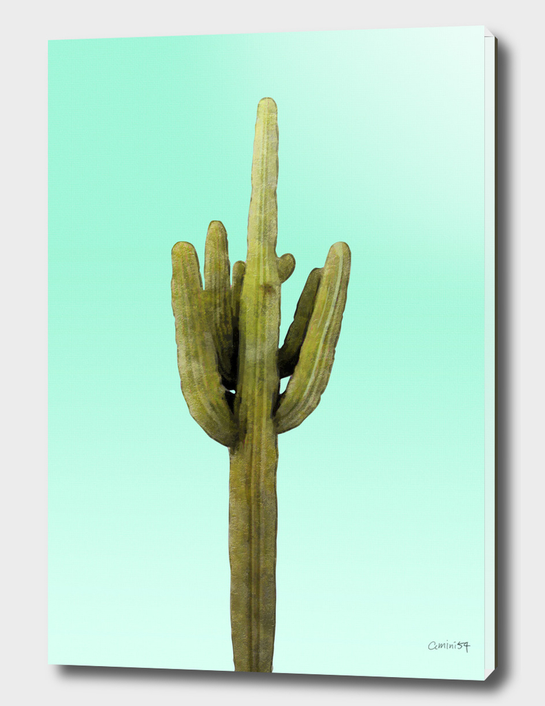 Cactus on Cyan Wall