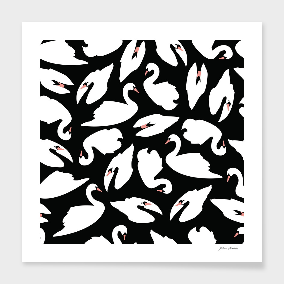 White Swans On Black Pattern
