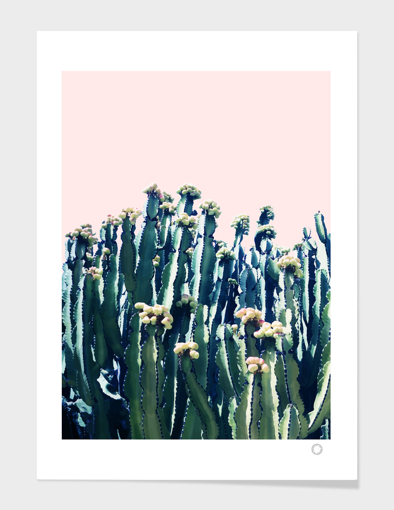 Cactus V5