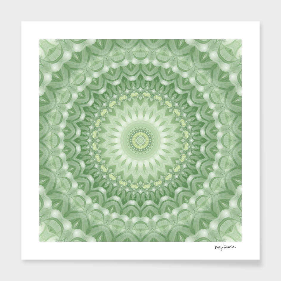 Spring Mandala in Green, Yellow and White