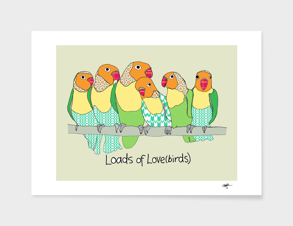 Loads of lovebirds