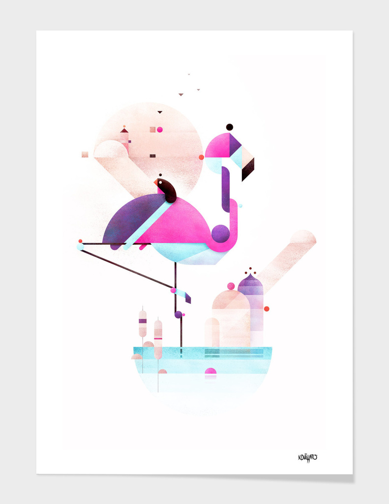 Placido flamingo