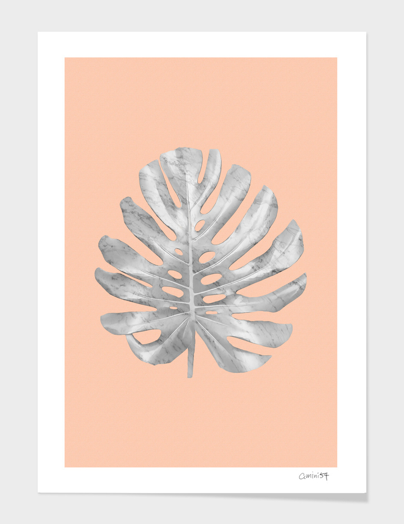 White Marble Monstera on Peach Wall