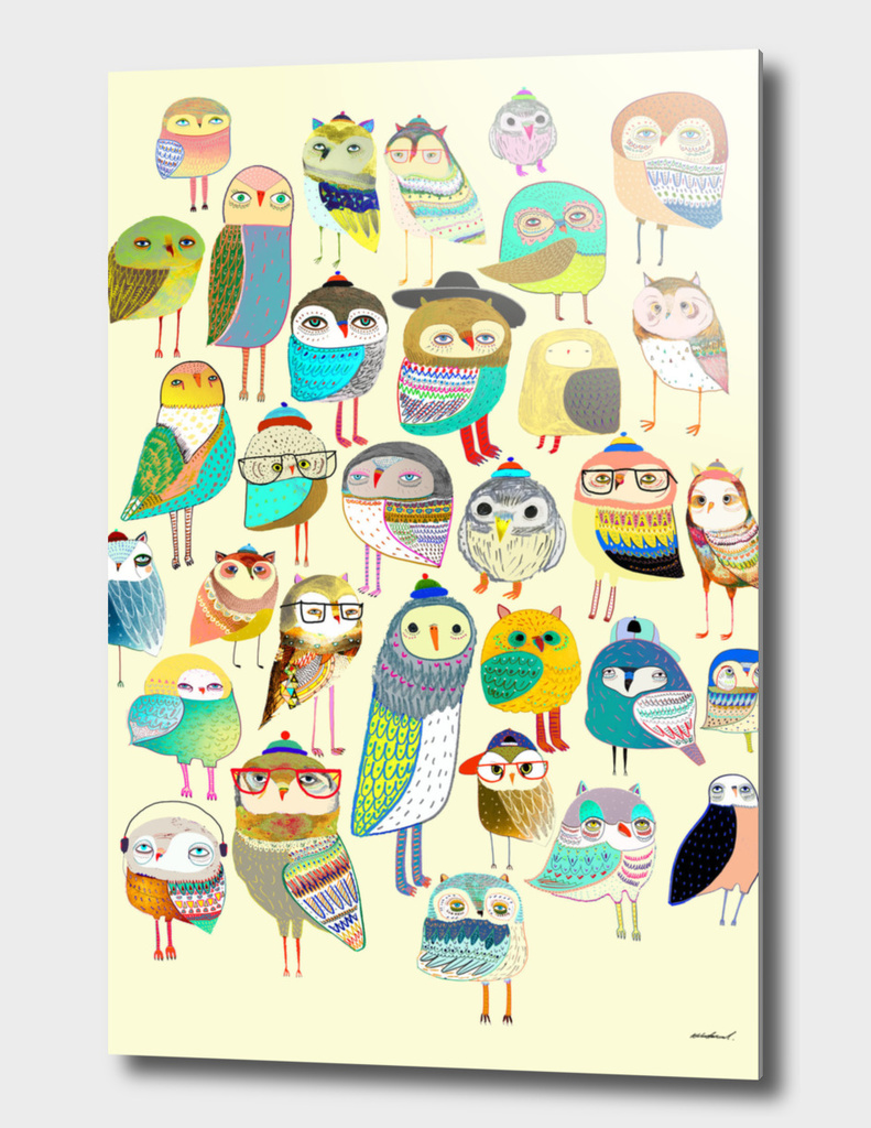 Owl Hundreds