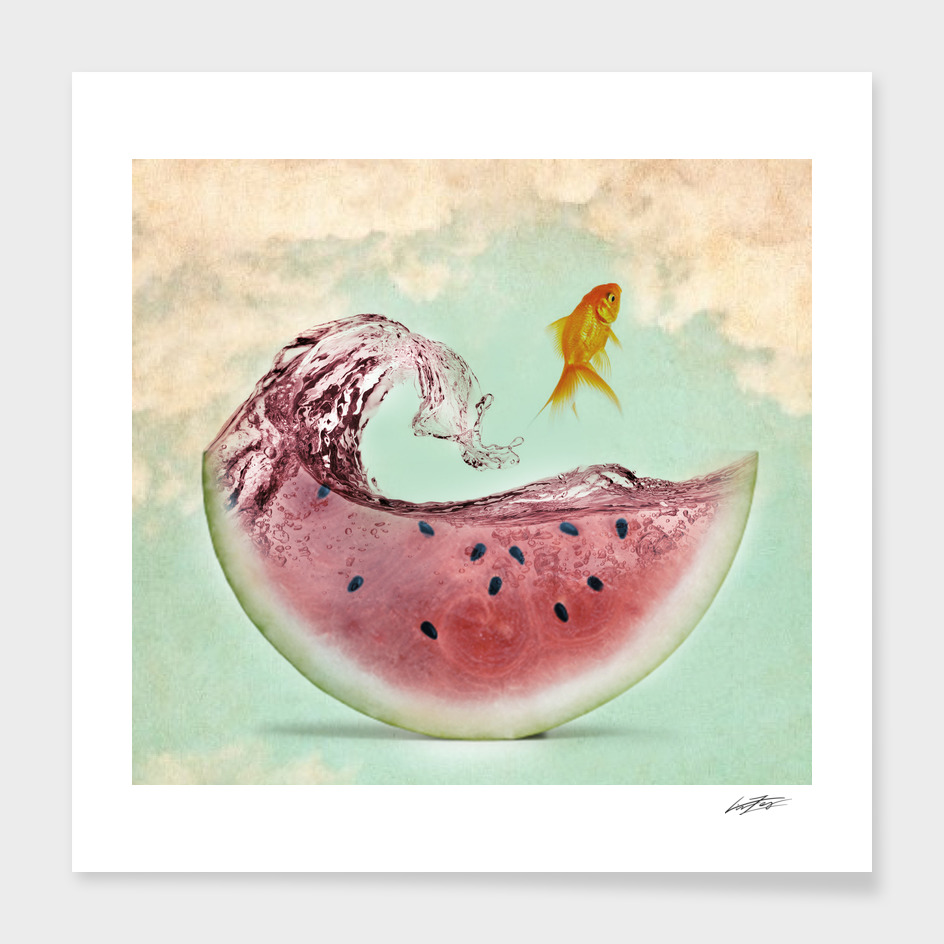 watermelon goldfish