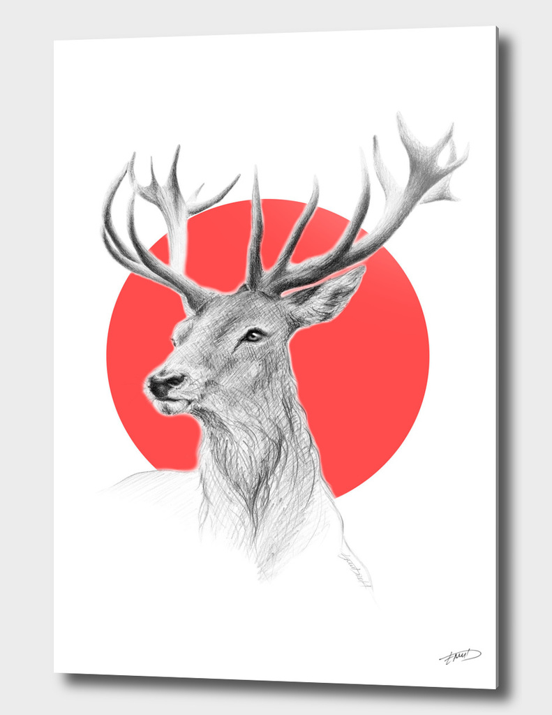 Deer red