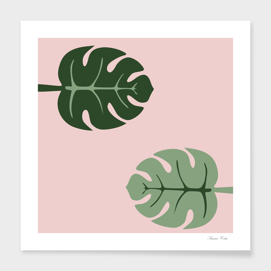 Tropical leaves Monstera deliciosa green and pink