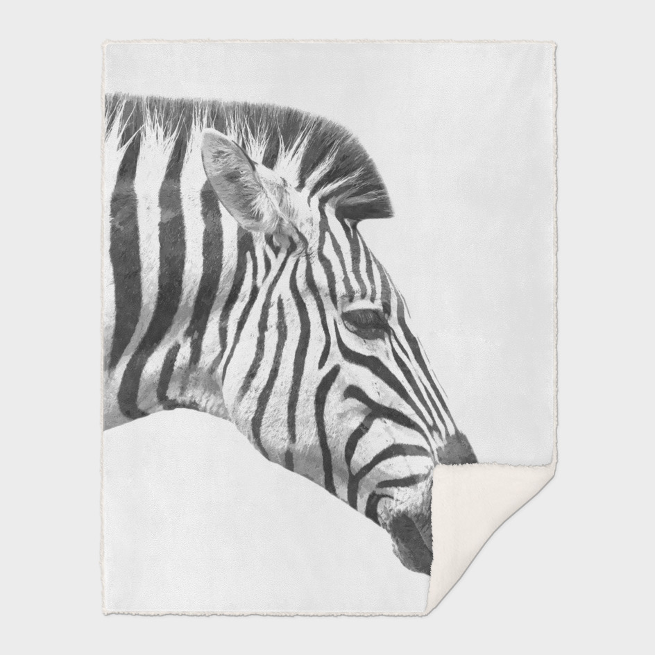 Black and White Zebra Profile