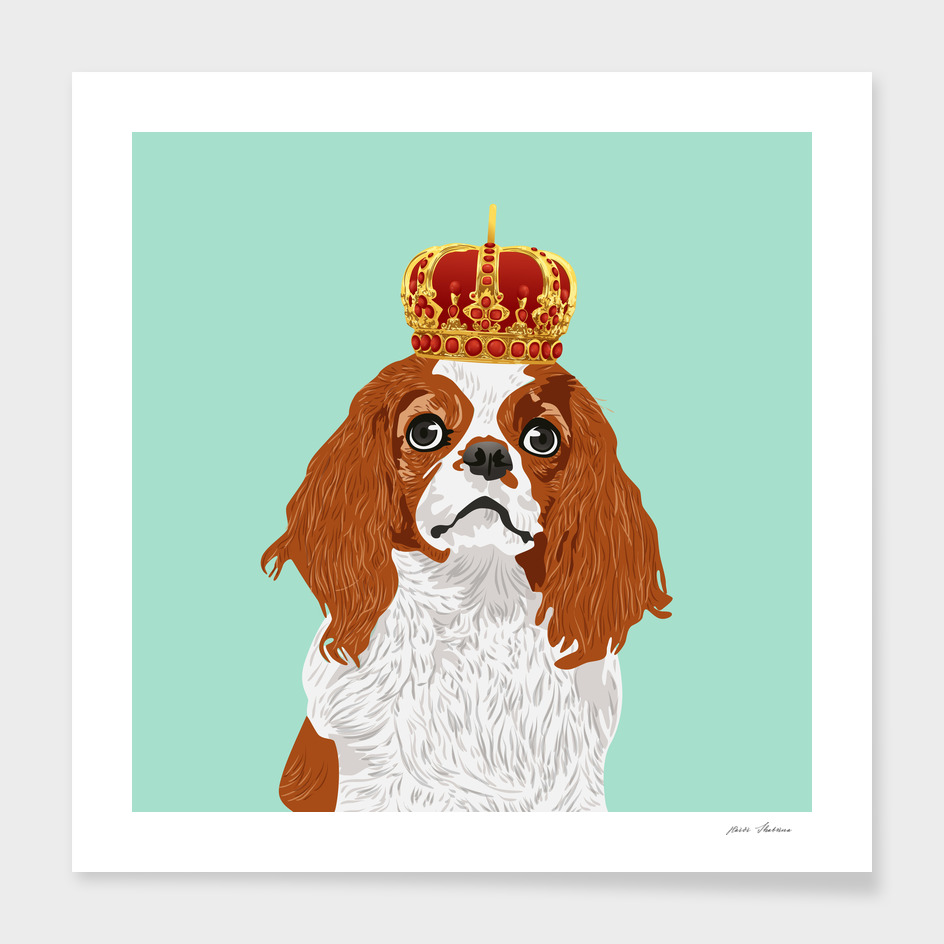 Cavalier King Charles Spaniel for Dog Lovers