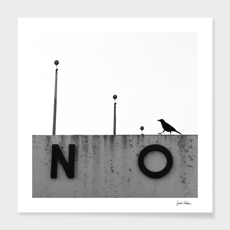 Black and White Crow on a Sign