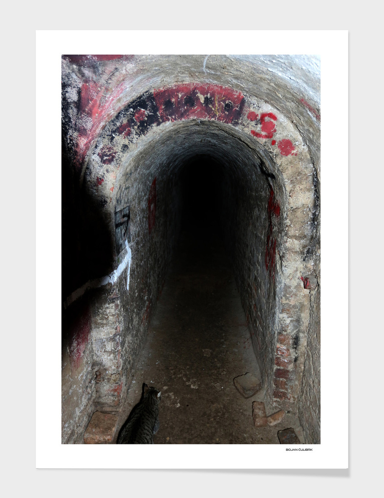 Exploring Tunnels of Petrovaradin Fortress (106)