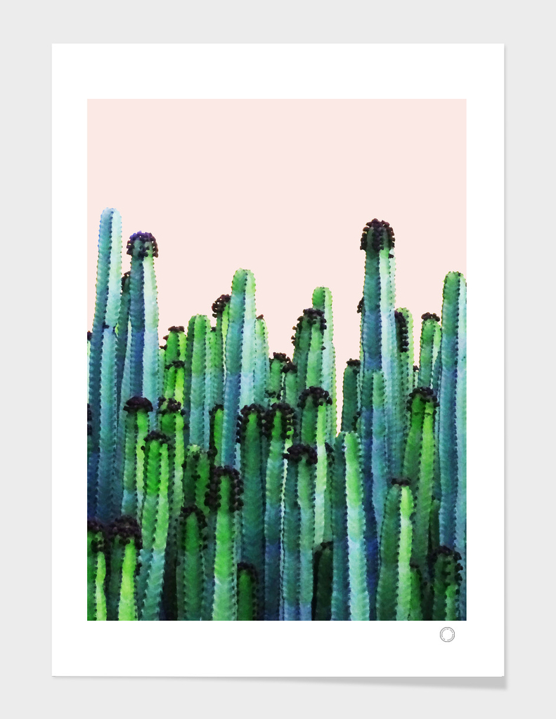 Cactus V5