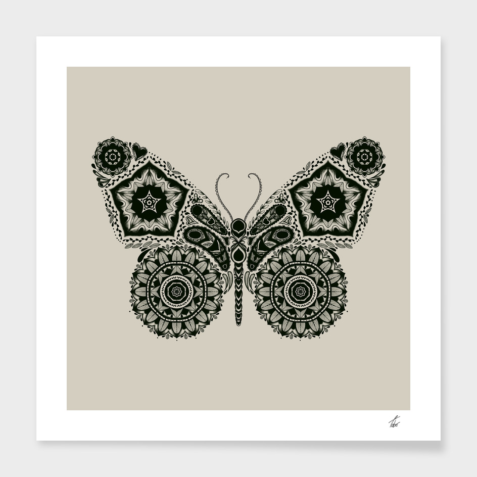 Ornamental Butterfly