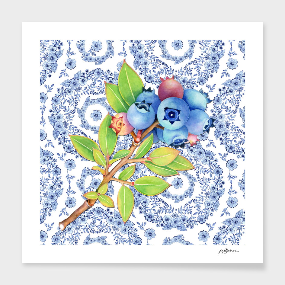Blue Rhapsody Blueberries