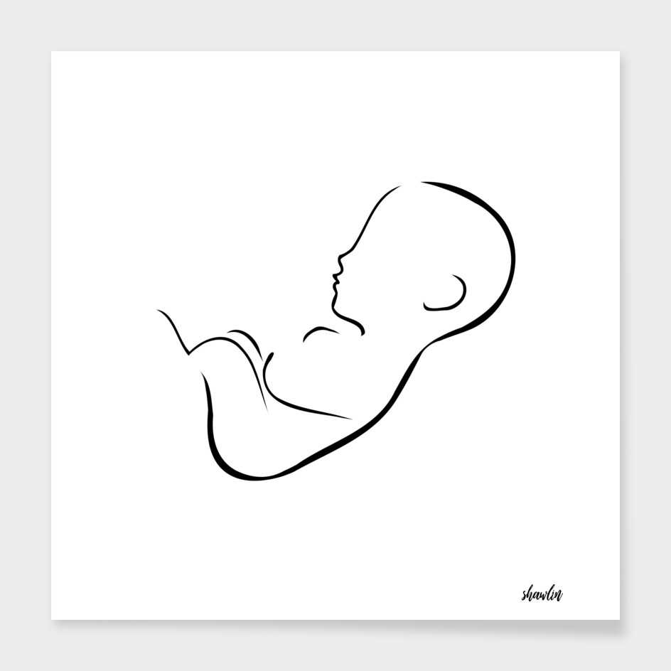 Drawing of fetus inside the womb of mother