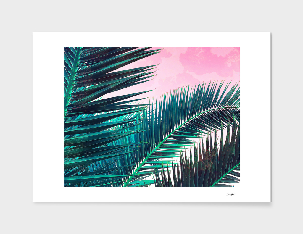 Nostalgic Palm Leaves on Pink