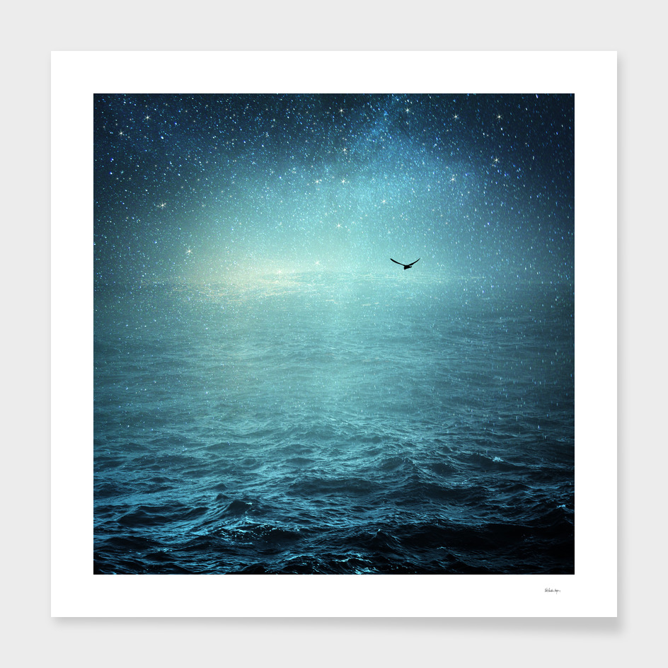 the sea & the universe