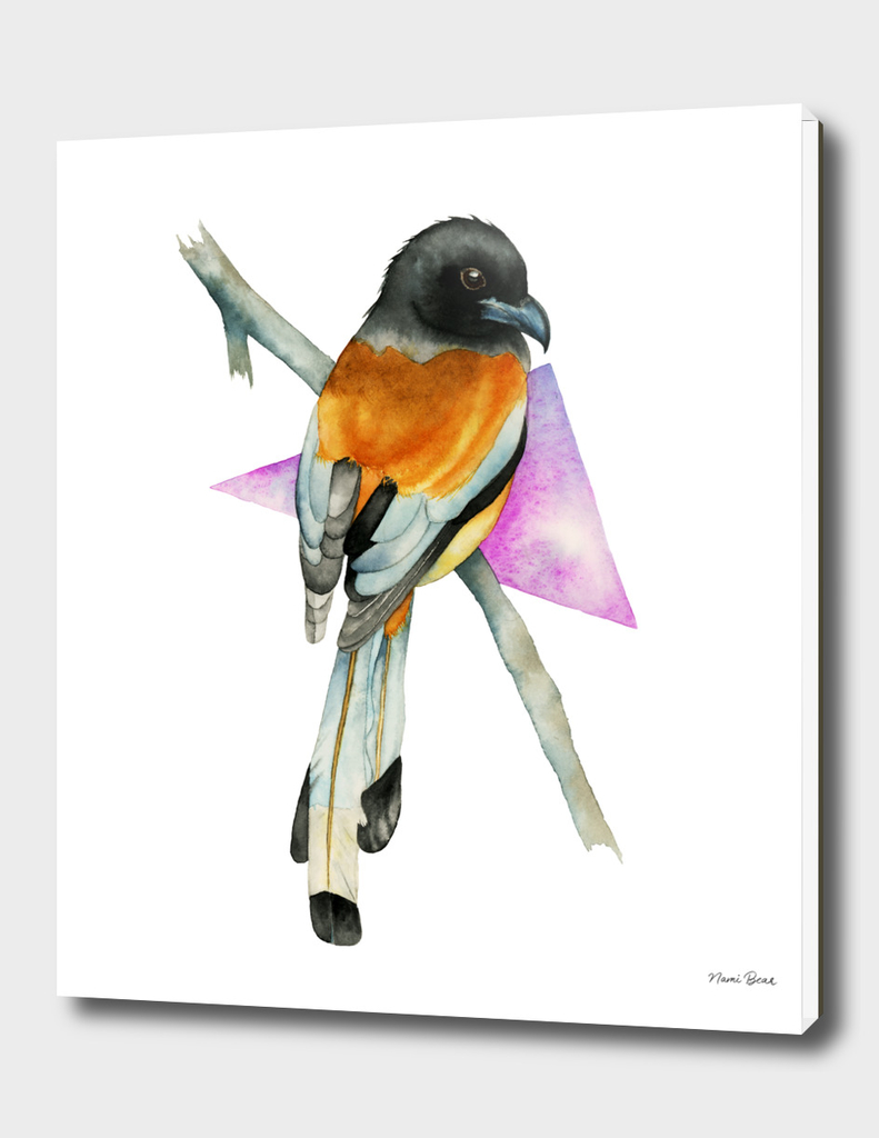 Oriole Bird with Triangle Watercolor Painting