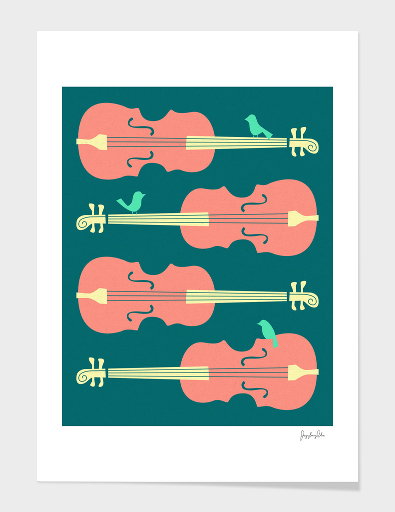 Birds on Cello Strings (2)