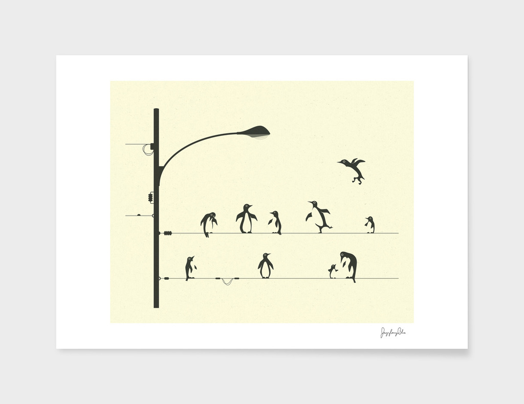 PENGUINS ON A WIRE