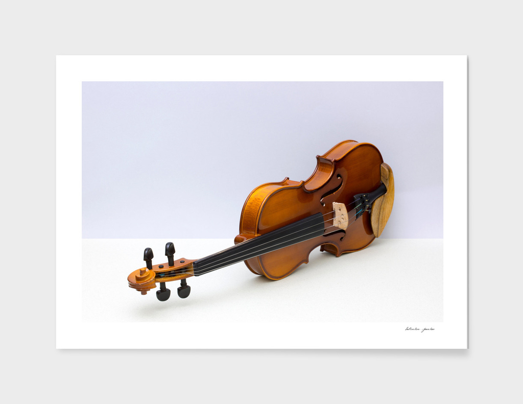 violin on a gray background