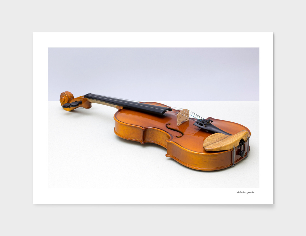 violin on a gray background