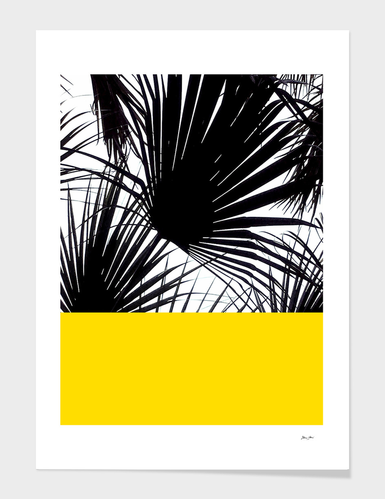 Tropical Black and White Palm Leaves on Yellow
