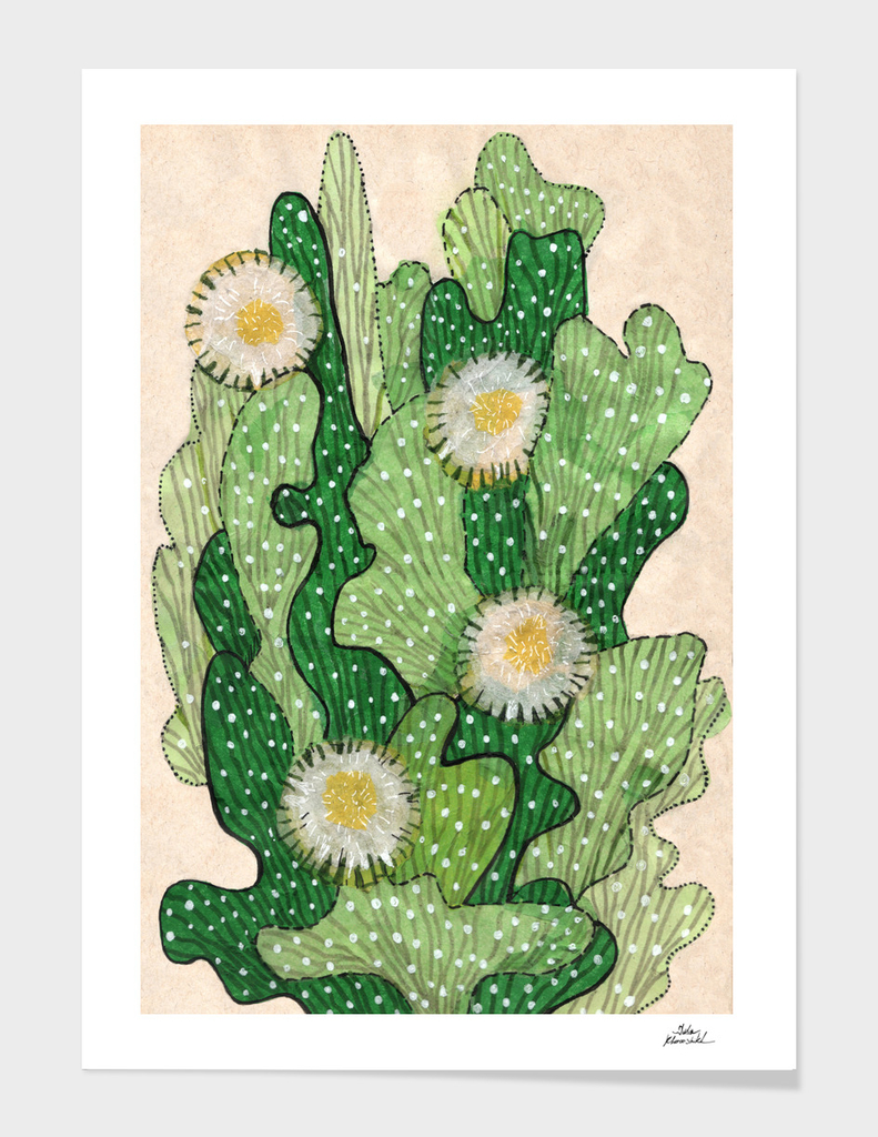 Blooming cacti, beige, white & green