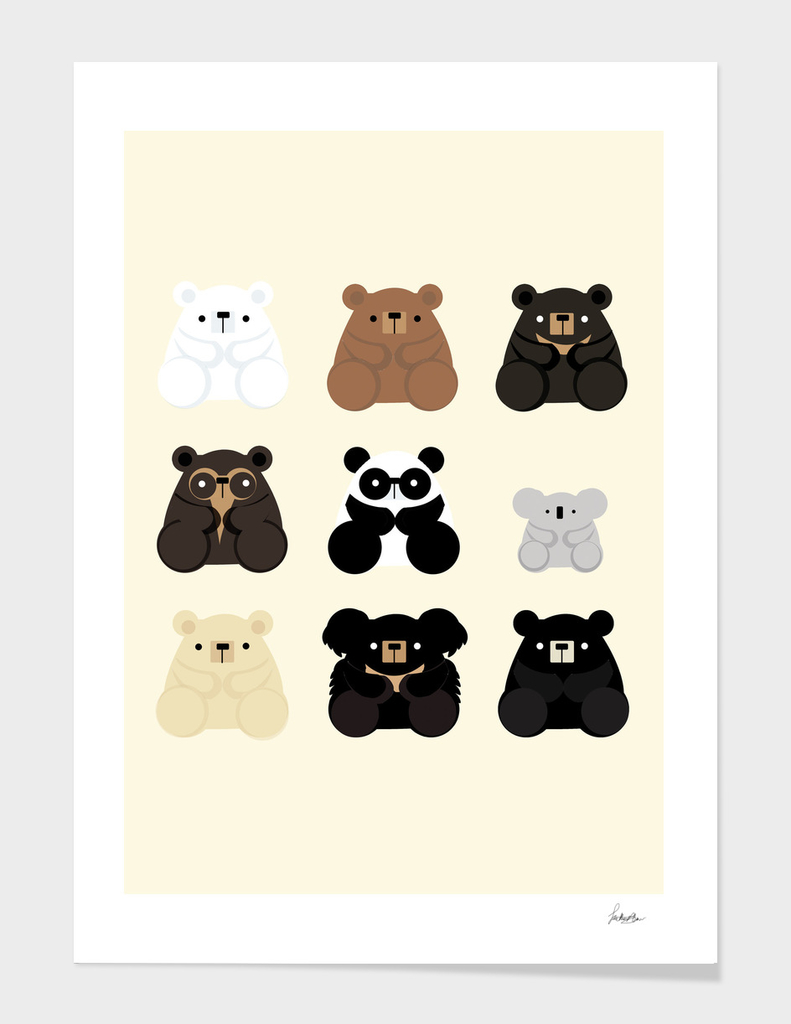 Types of bears