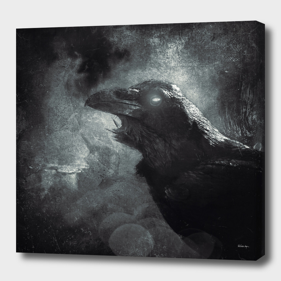 mystic raven III