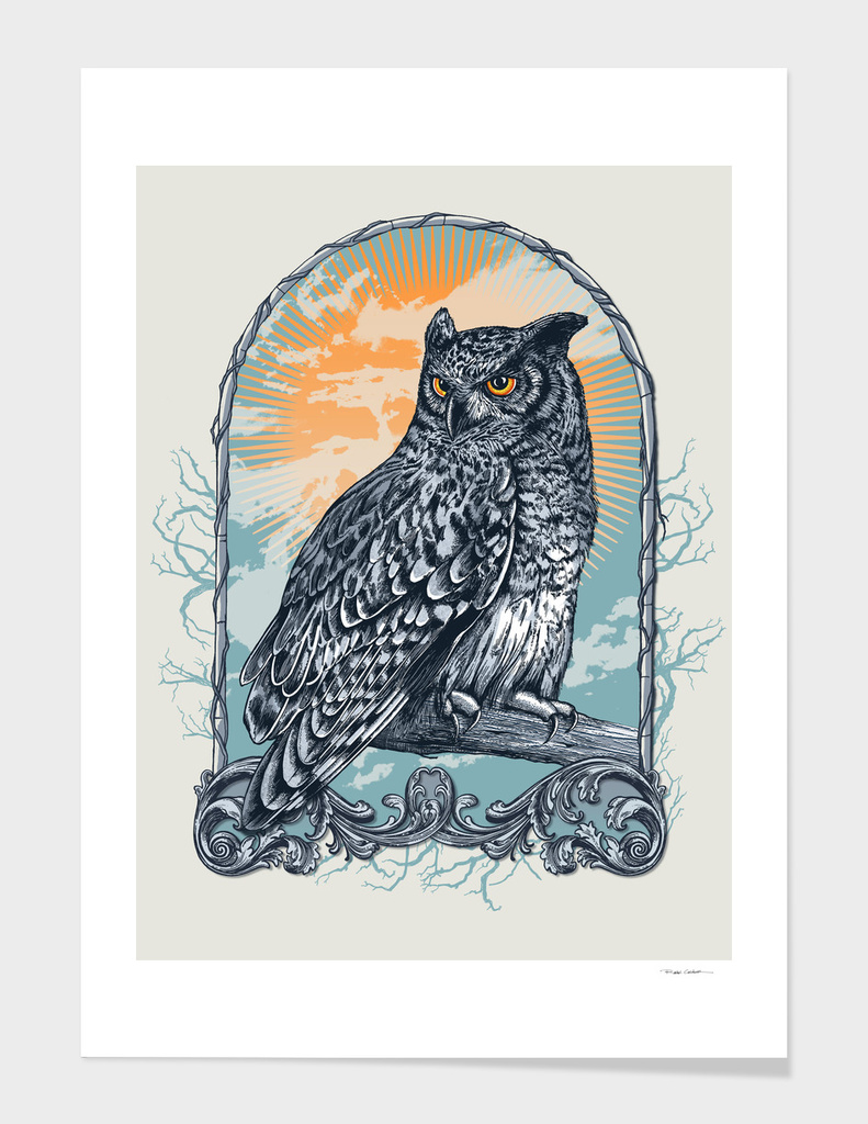 Twilight Owl