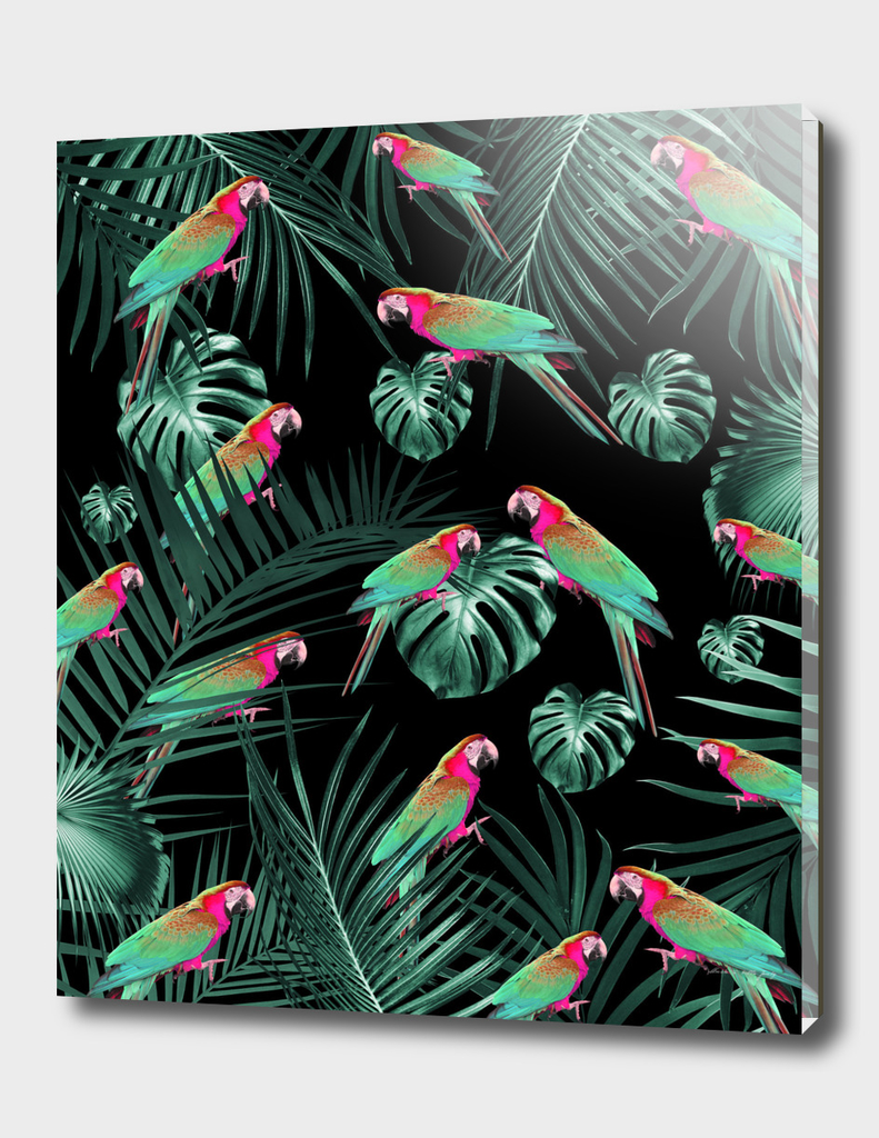 Parrots in the Tropical Jungle Night #1