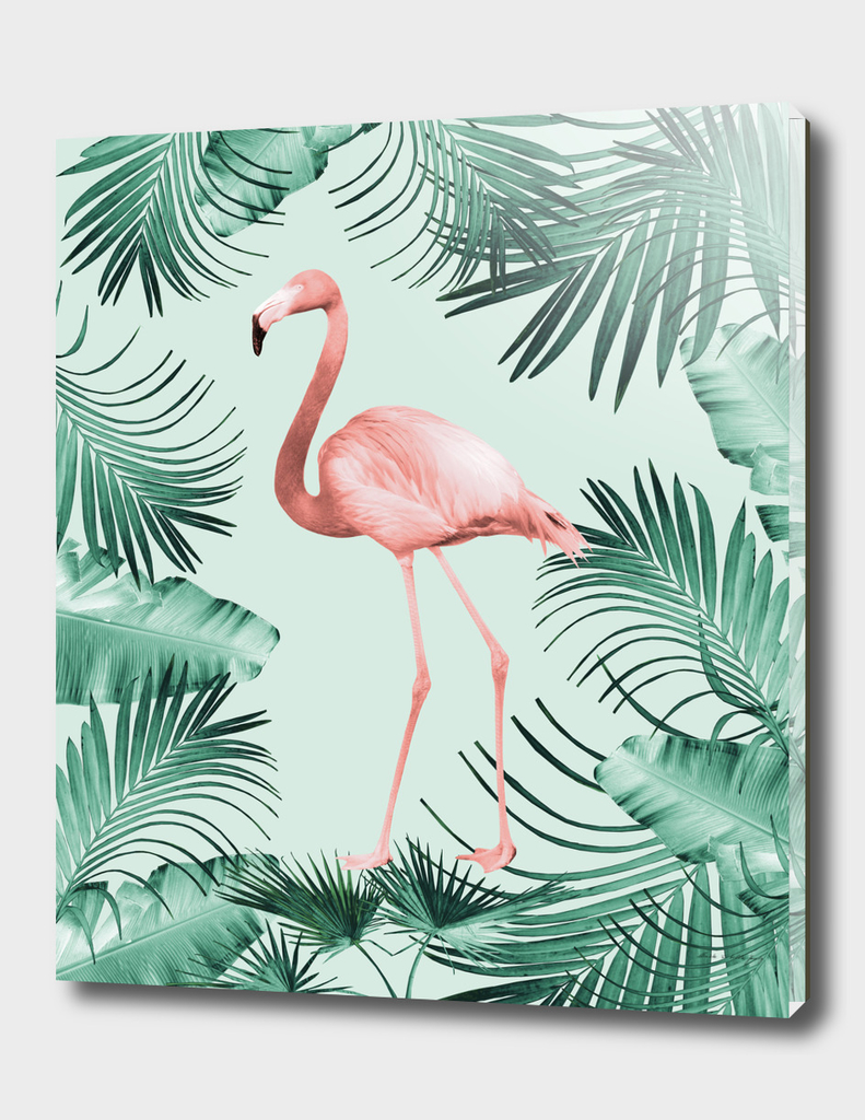 Flamingo in the Jungle #1