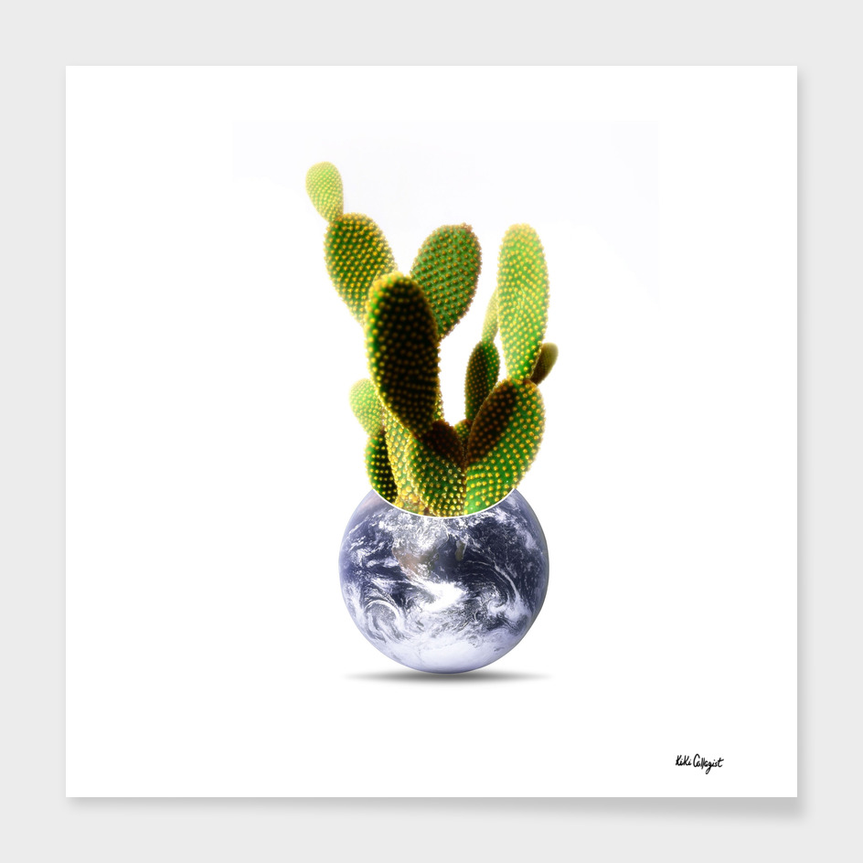 Whole world is a cactus
