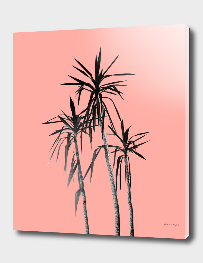 Palm Trees - Apricot Blush Cali Summer Vibes #1