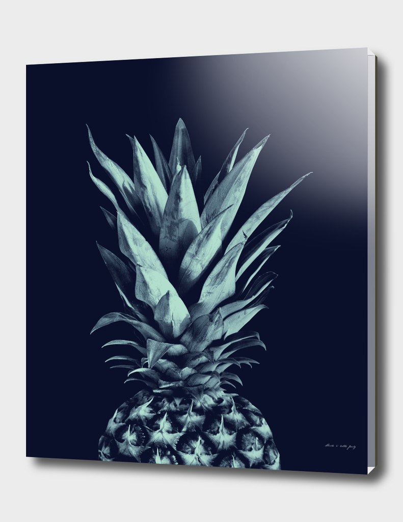 Navy Blue Pineapple Dream #1