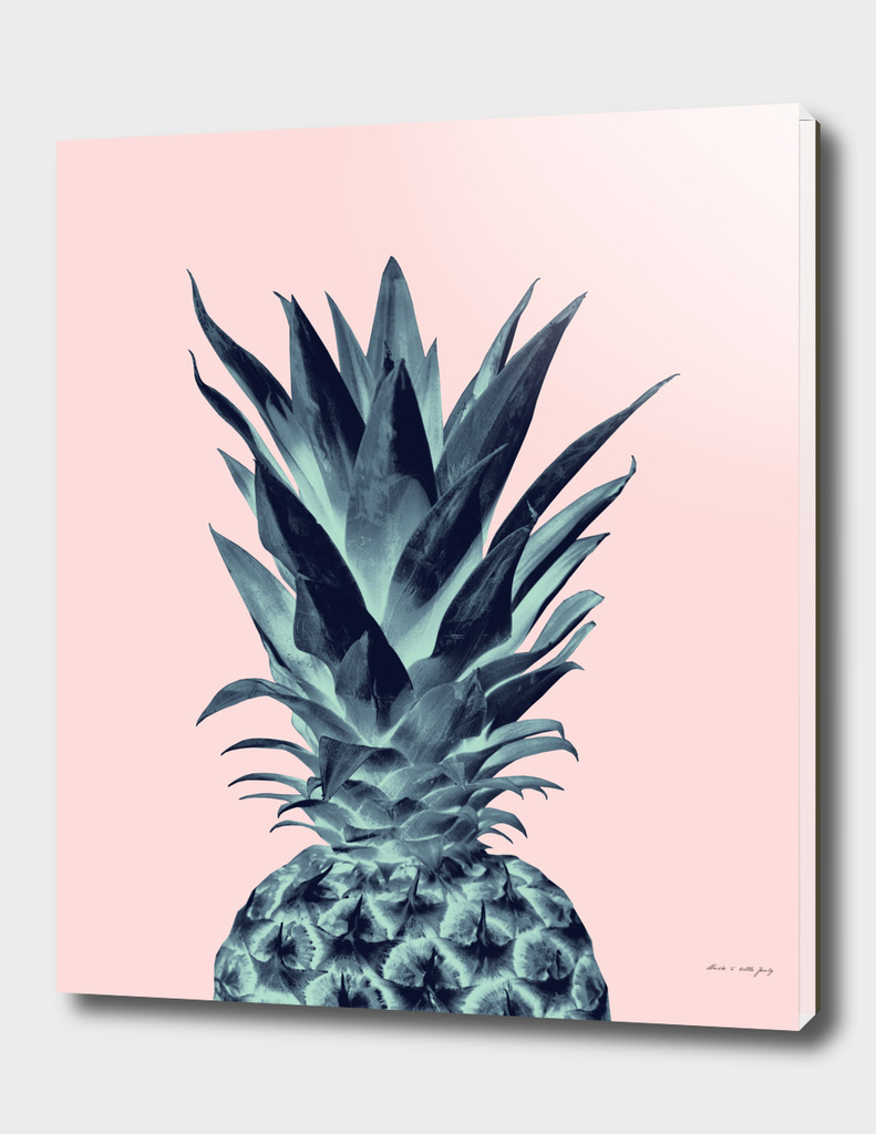 Blush Pineapple Dream #2