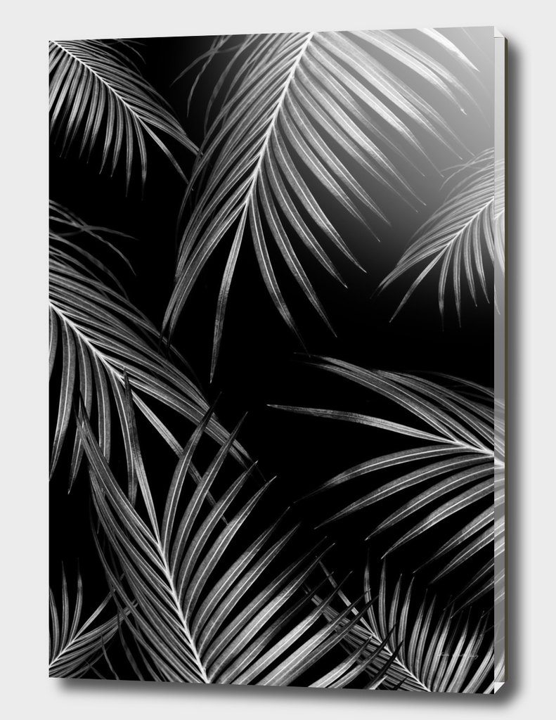 Silver Gray Black Palm Leaves Dream #1 #tropical #decor #art