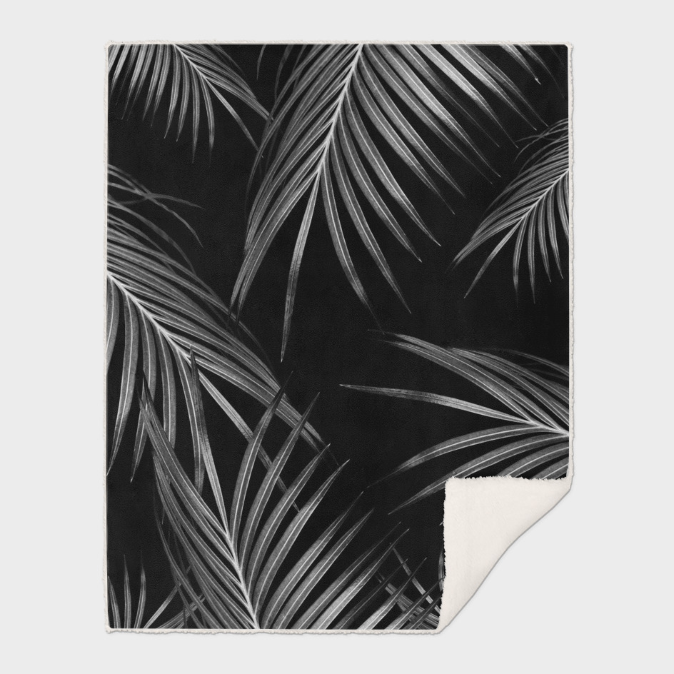 Silver Gray Black Palm Leaves Dream #1 #tropical #decor #art