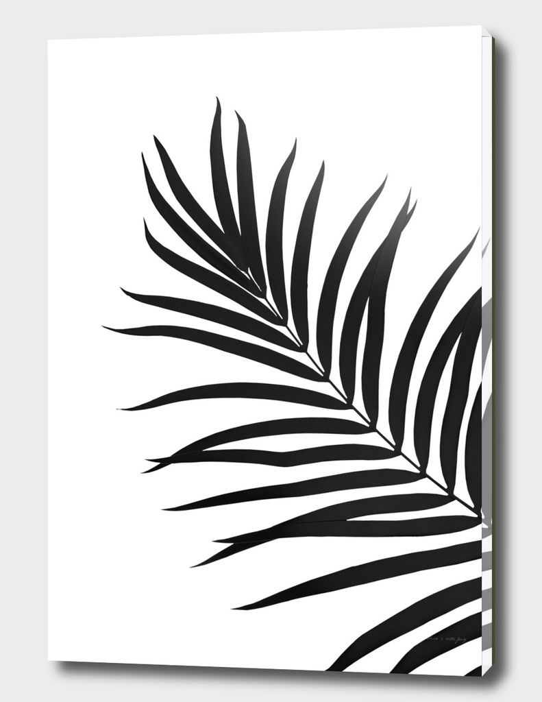 Tropical Palm Leaf #1 #botanical #decor #art