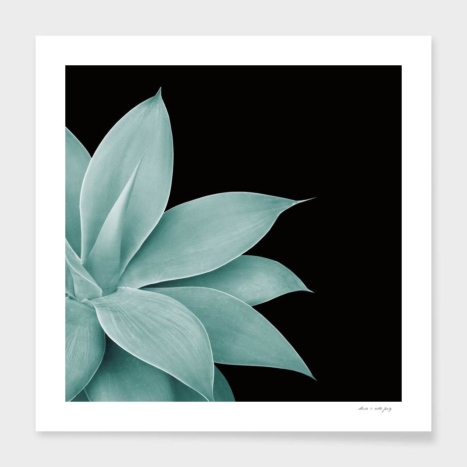 Agave Finesse #4 #tropical #decor #art
