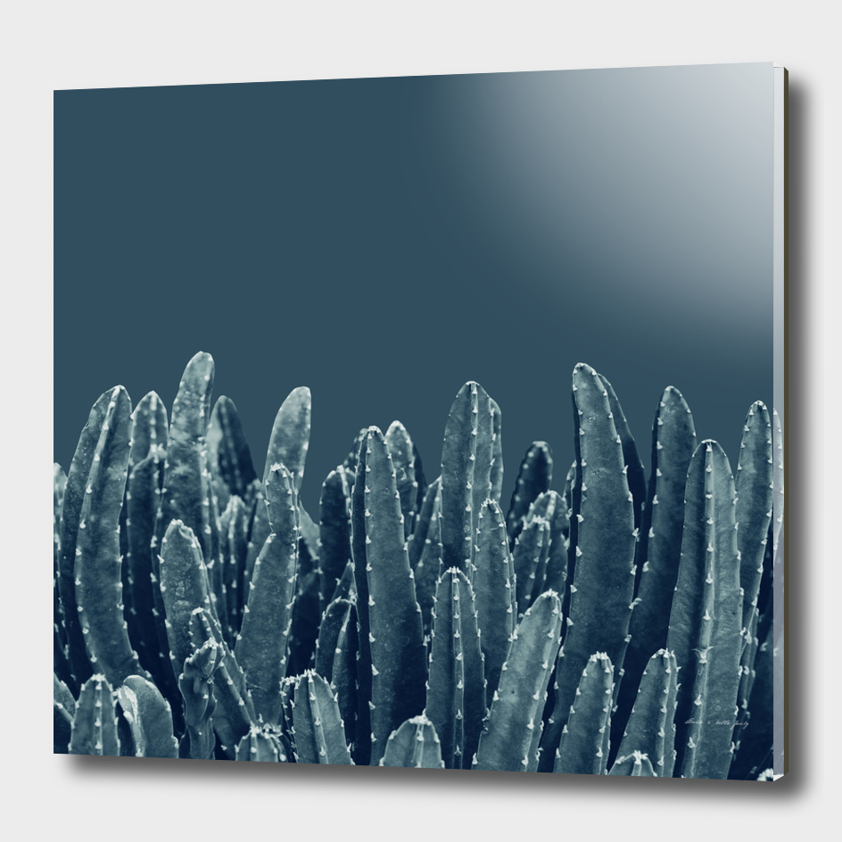 Blue Cacti Dream #1 #minimal #decor #art