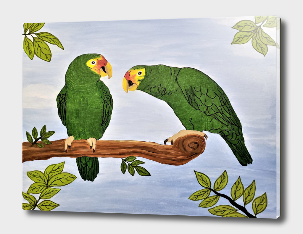 Parrots of the Amazon