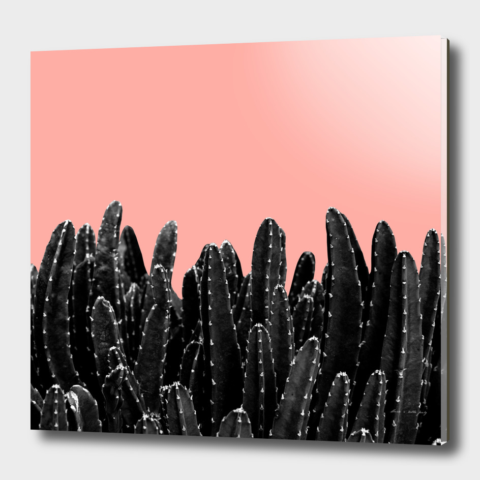 Black Cacti Dream #2 #minimal #decor #art