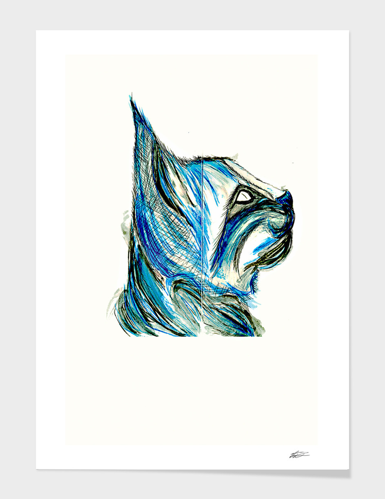blue bobcat
