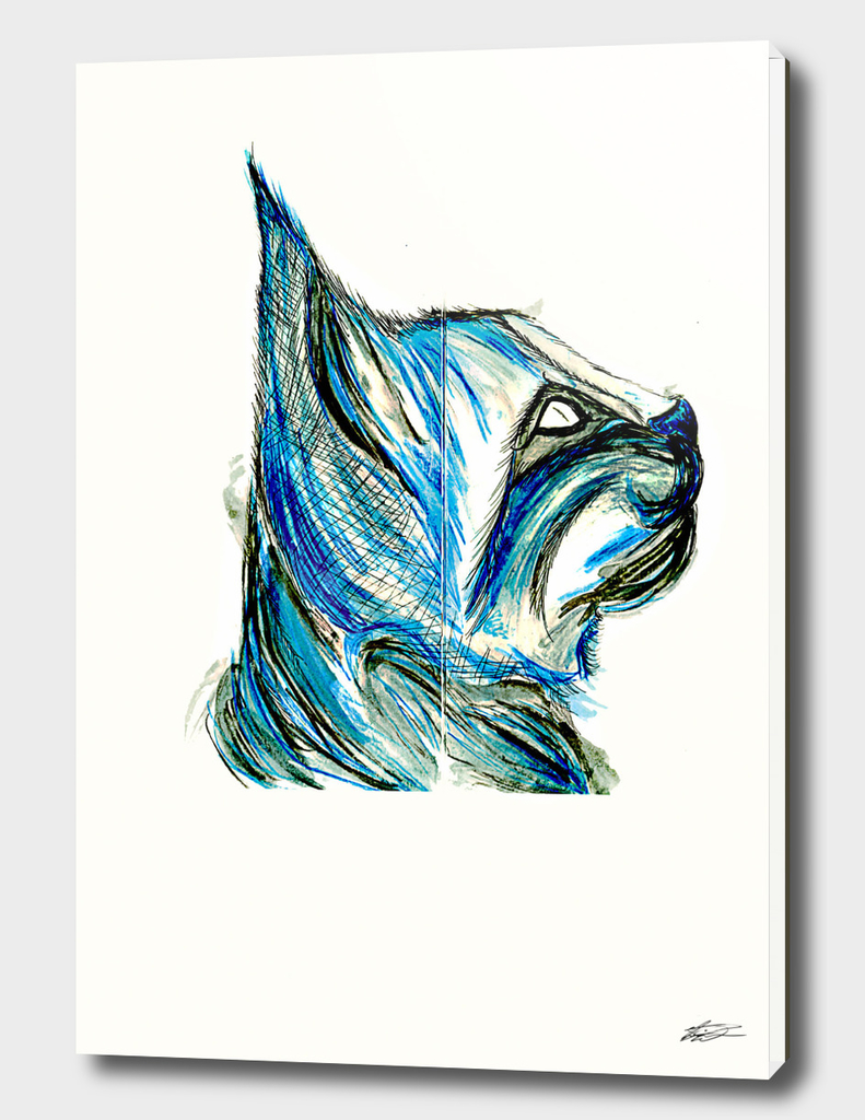 blue bobcat