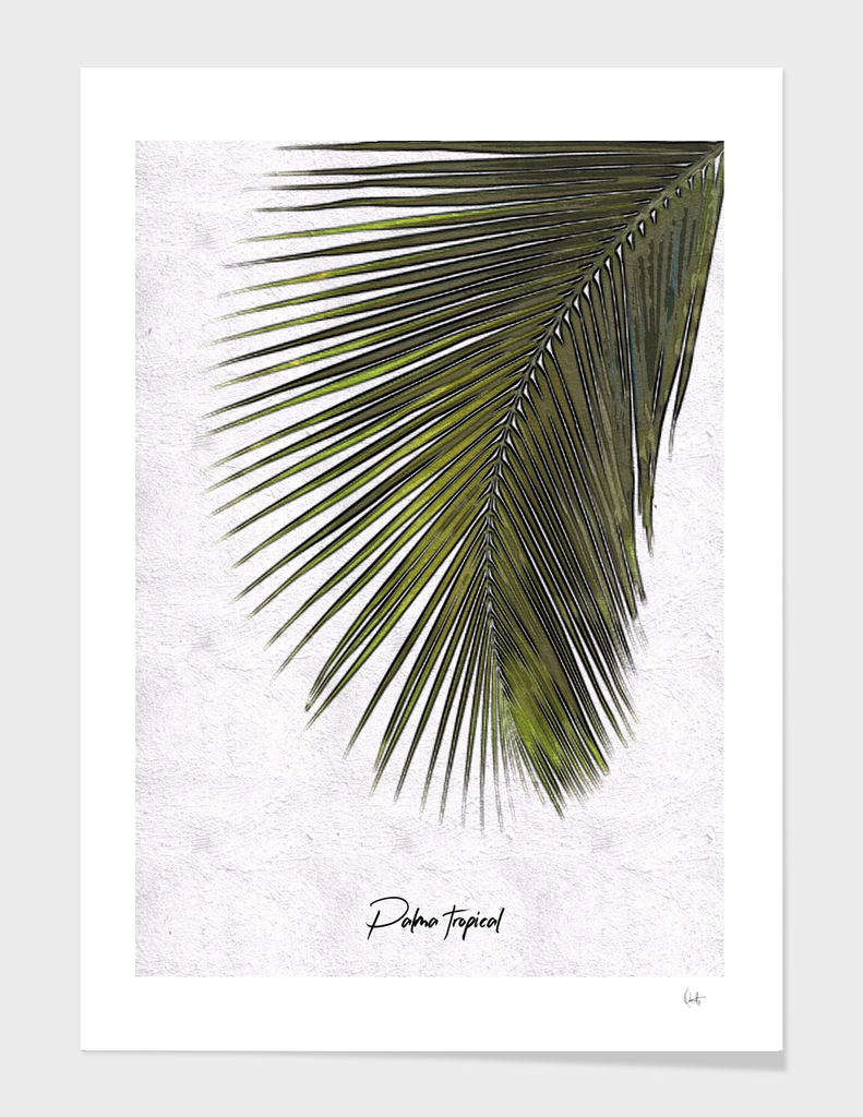 Palma Tropical
